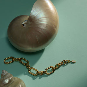Gold Chain Bracelet Staged with Shell on Green Surface