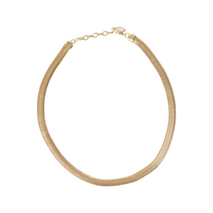 Brushed Gold Collar Necklace on Flat White Background