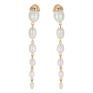 Freshwater Pearl and Gold Drop Earrings on Flat White Background