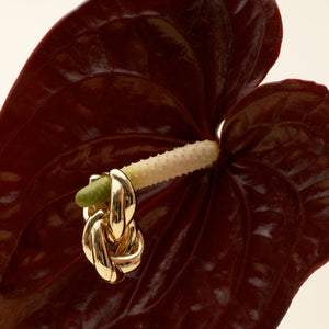 Twisted Gold Hoop Earrings Staged on Red Anthurium Plant