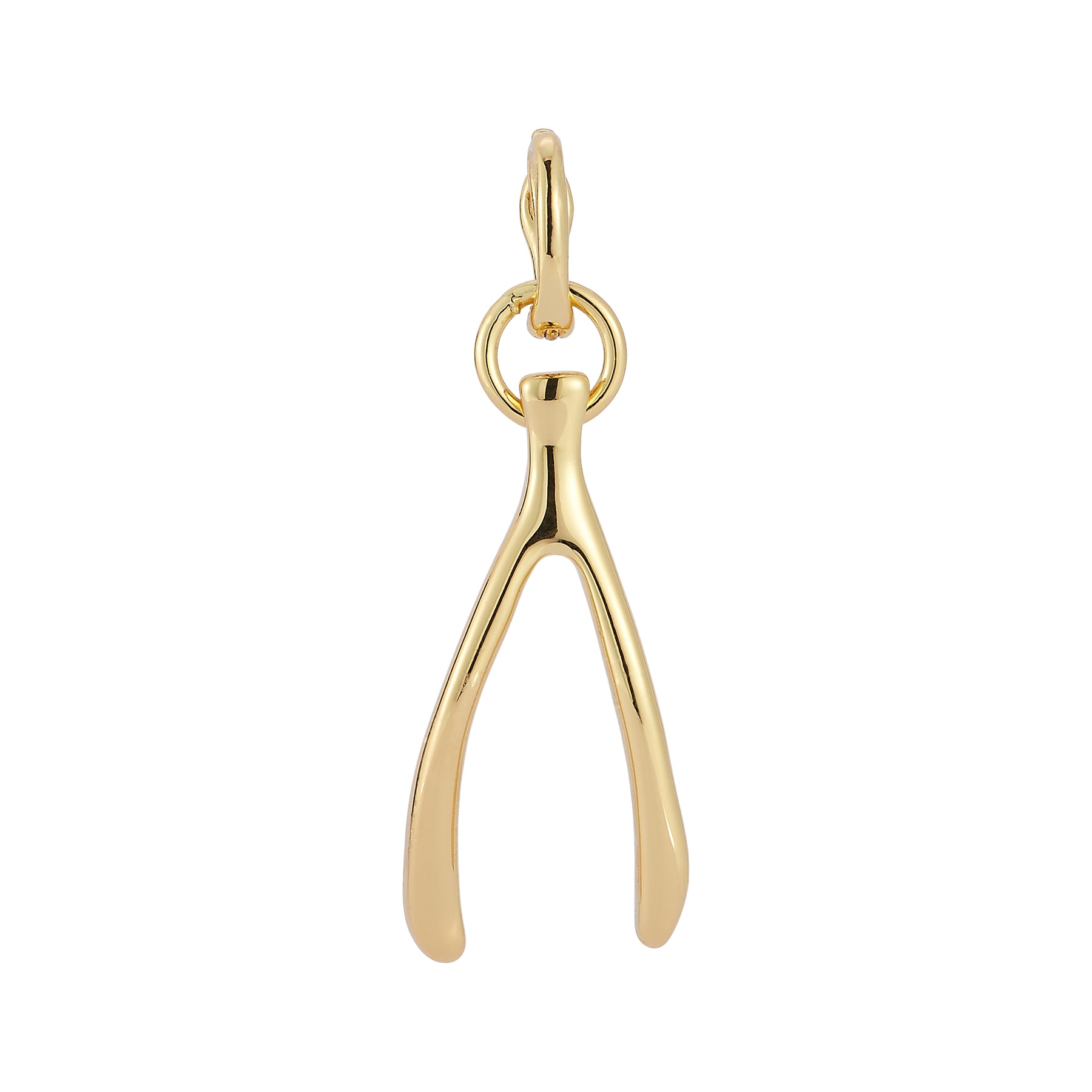 Gold Wishbone Charm on Flat White Background