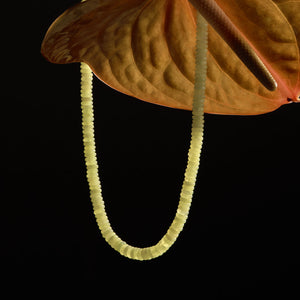 Lime Green Stone Strand Necklace Displayed on a Flower on Black Background