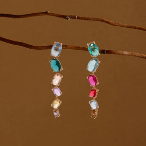 Rainbow Crystal Earrings Staged on Branches with Brown Background