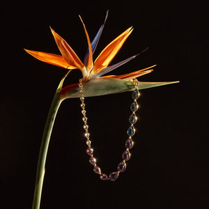 Multi-Colored Teardrop Crystal Necklace Staged on Birds of Paradise Flower with Black Background