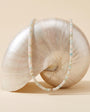 A shell-shaped decorative object draped with two beaded necklaces on a warm beige studio background.