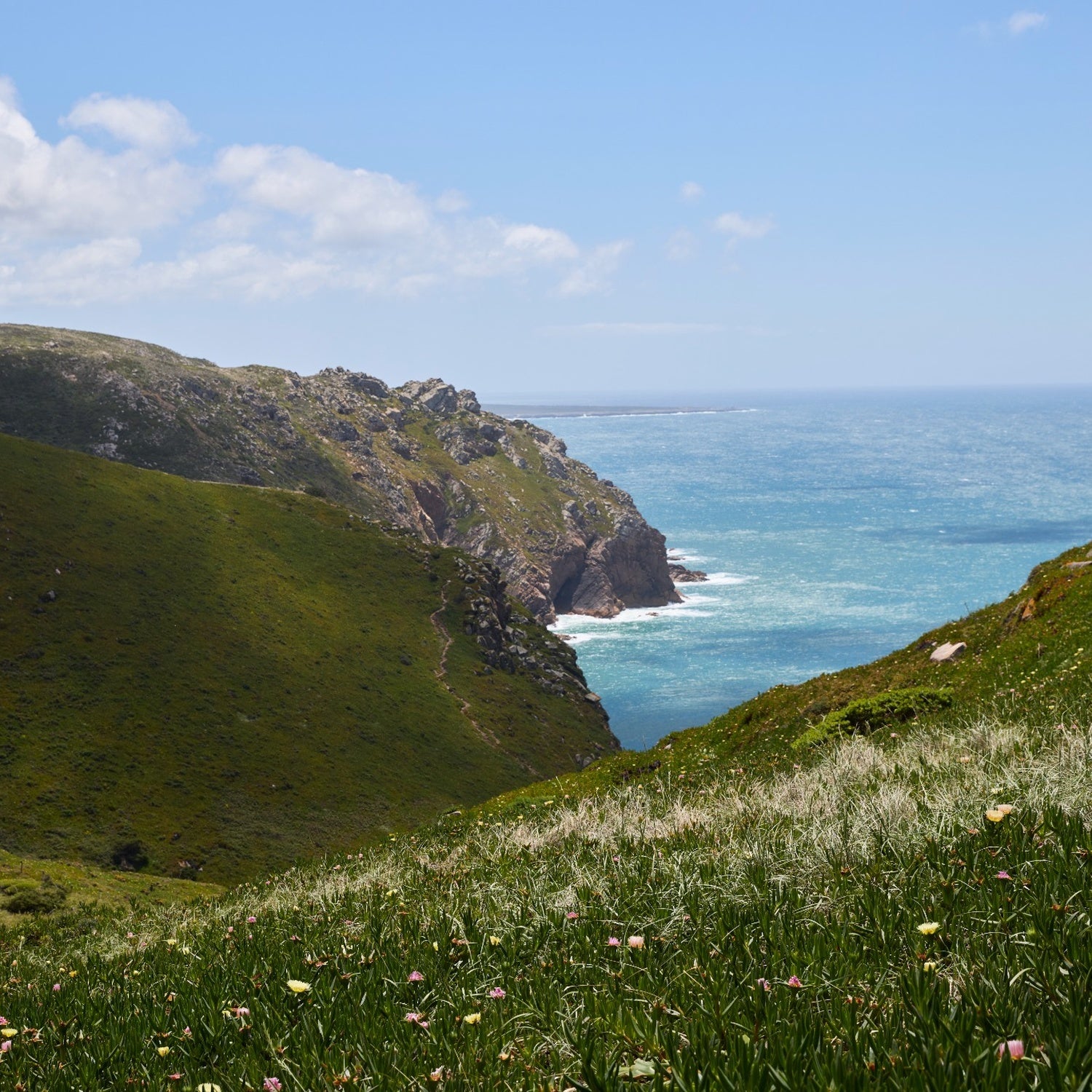 A scenic coastal landscape with steep green cliffs dropping into a bright blue ocean, under a partly cloudy sky. The foreground shows grassy slopes with small wildflowers.