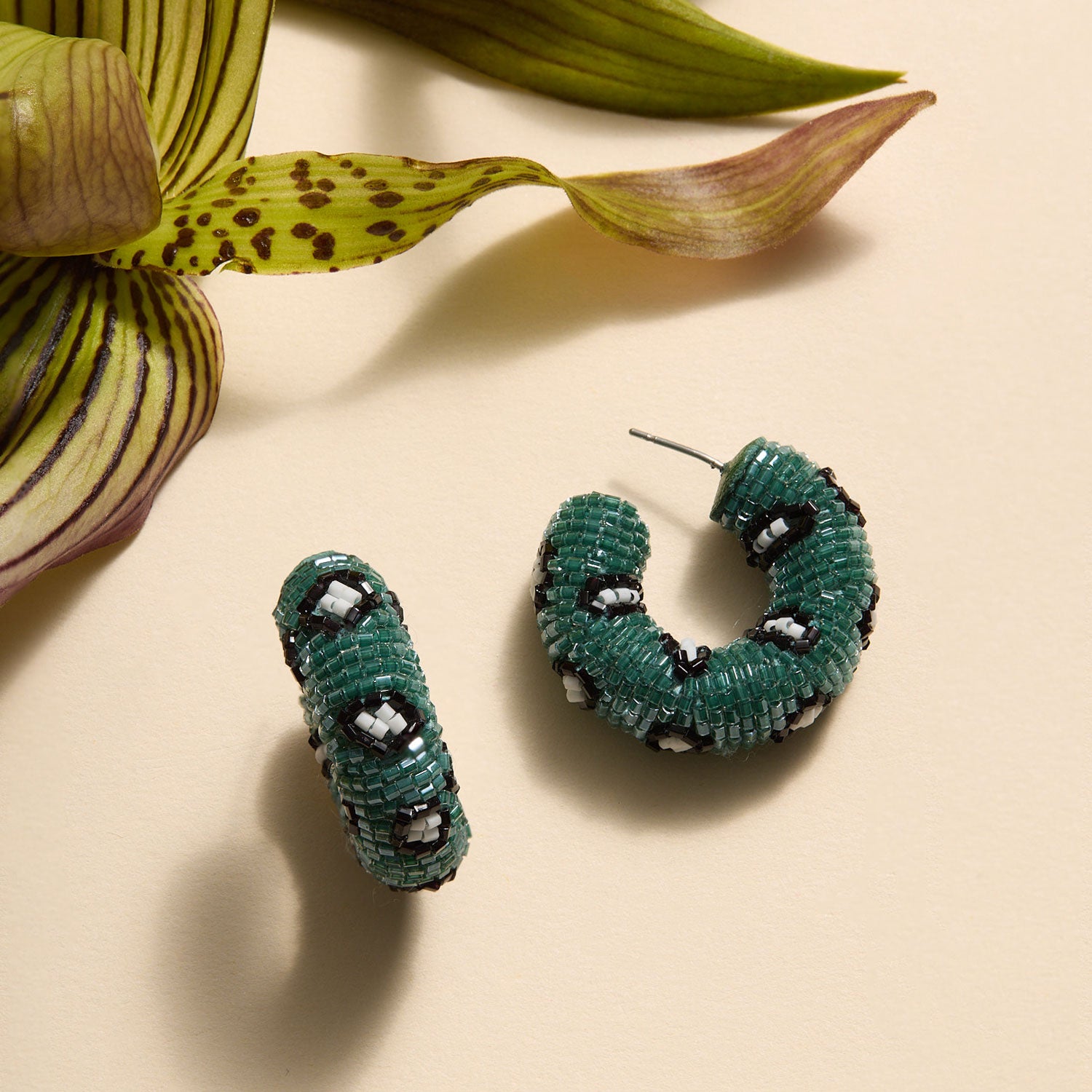 Agnes Hoops Green