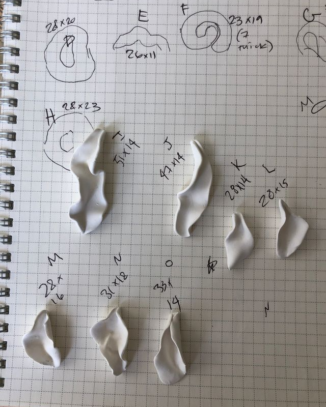 Clay models of ear shapes on a grid paper with labeled sketches