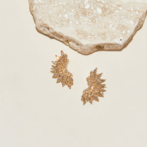 Mignonne Gavigan Crystal Madeline Crescent Earrings Clear